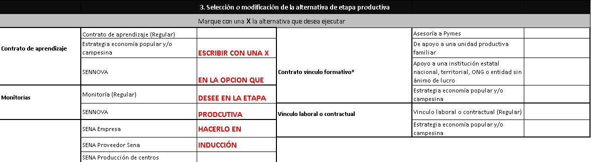 Selección con X y fechas de formación