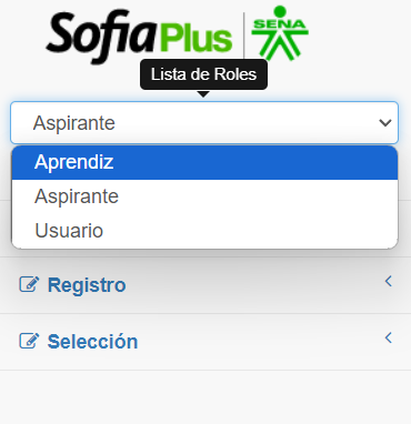 Rol Aprendiz
