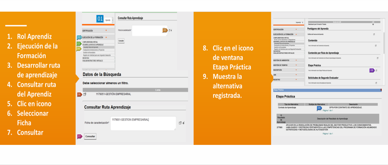 Verificar alternativa Sofia Plus