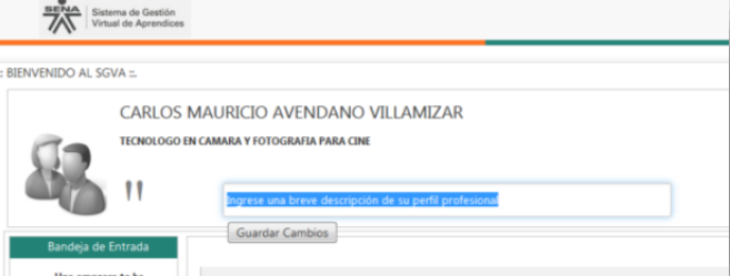 Perfil actualizado