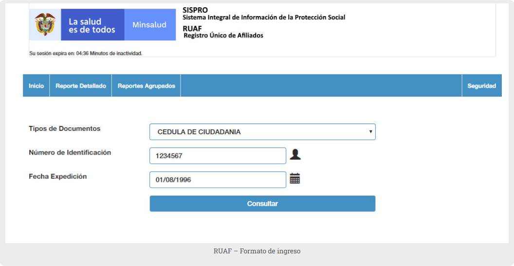 Formulario de consulta RUAF