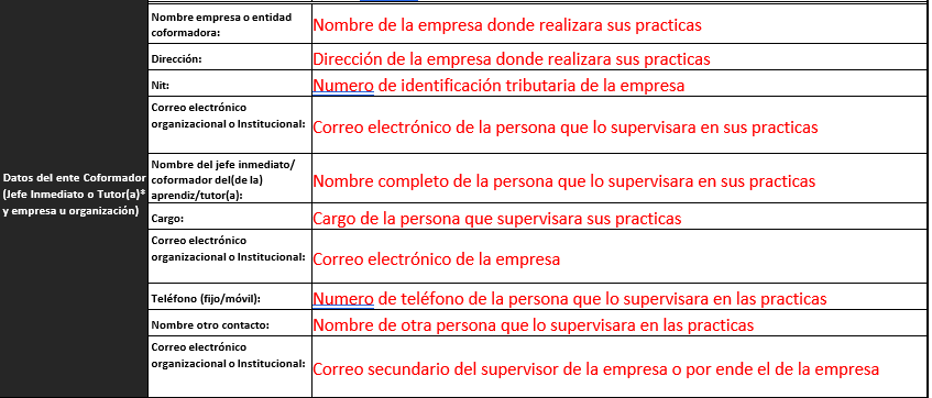4. Datos del Supervisor de la empresa